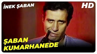 Şaban Kumarhanede  İnek Şaban Eski Türk Filmi [upl. by Earized]