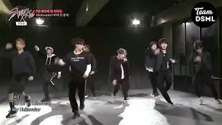 1st VS Last Performance  Hellevator  STRAY KIDS [upl. by Wynn]