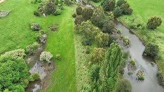 Delatite River Tree Planting [upl. by Gussman]