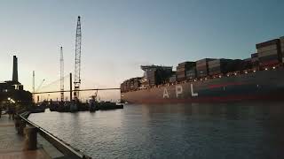 Huge Container Ship passing through Savannah Riverfront Georgia USA 2018 [upl. by Nnylyma4]