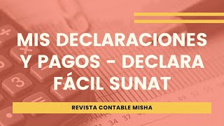 Mis Declaraciones y Pagos  Declara Fácil SUNAT [upl. by Lipson]