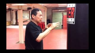 Da Sifu Louis Linn Finger Thrust Practise [upl. by Sac]