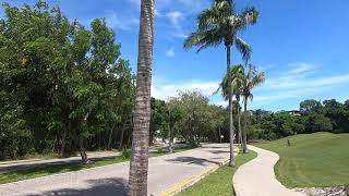 Walking through the PlayaCar Neighbourhood in Playa del Carmen [upl. by Ahsyekat849]