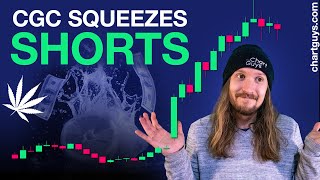 Cannabis Stock Short Squeeze [upl. by Norga]