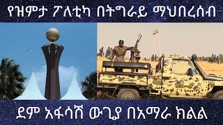 የፅሞና ፖለቲካ በትግራይ  ደም አፋሳሽ ውጊያ በአማራ  TigraiPress Ethiopia TigrayWar Amara Abiyahmed [upl. by Burty]