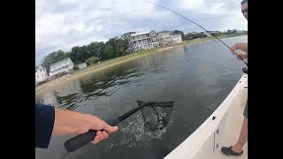 Southport NC Flounder Fishing [upl. by Eastlake]