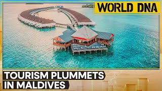 Maldives tourism takes a hit with mass decline in Indian travelers  Latest News  WION World DNA [upl. by Tlevesoor953]