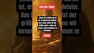 Zitat des Tages  Zitate von Buddha spruchdestages shorts zitatekanal [upl. by Niko600]