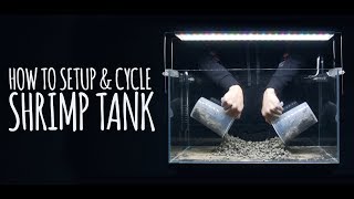 How To Setup amp Cycle Shrimp Tank [upl. by Sirref]