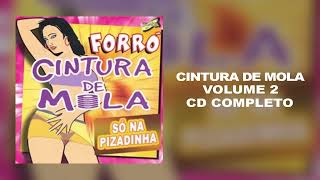 Forró Cintura de Mola CD Vol 2 COMPLETO [upl. by Nodnerb]