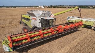 CLAAS LEXION 8900  14M  BIGGEST COMBINE HARVESTER  TERRA TRAC  IN FRANCE 🇫🇷 [upl. by Nnylram186]