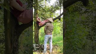 She sleeps in a tree 😍😋 funny couple 🤣😁funny couple shorts [upl. by Turpin]