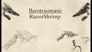 Barotraumatic RazorShrimp [upl. by Glaser]