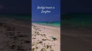 Discover the Hidden Gem of Zanzibar Nungwi Beach [upl. by Chrysa]