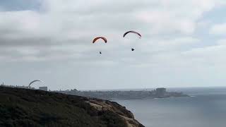 Lodge at Torrey Pines  Torrey Pines Gliderport glider torreypines gliders sandiego [upl. by Eidaj]