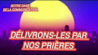 👀🏃HATONS A LEURS DÉLIVRANCES [upl. by Acilgna]