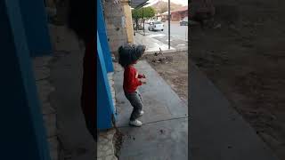 bailando con fariseos Guaymas Sonora [upl. by Ian]