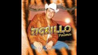 Tigrillo Palma mix [upl. by Elfreda]