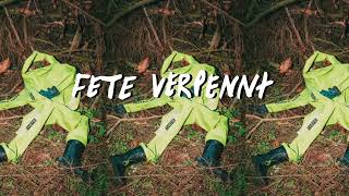 Deichkind  Fete Verpennt Official Audio [upl. by Ingraham474]