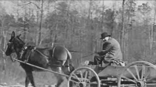 Film footage of life in FuquayVarina in1937 [upl. by Anneliese767]