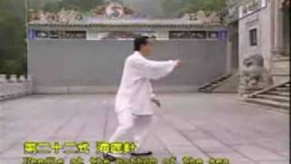 Tai Chi Yang style long form [upl. by Anitnegra]