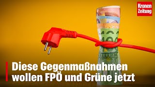 Diese Gegenmaßnahmen wollen FPÖ und Grüne jetzt  kronetv NEWS [upl. by Yssim790]