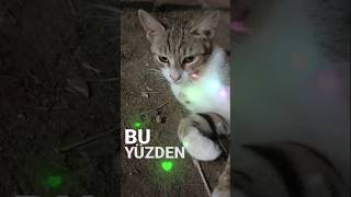 Özledim Galiba Seni 🤗🤗🤗keşfet tiktok viral short [upl. by Glynis]