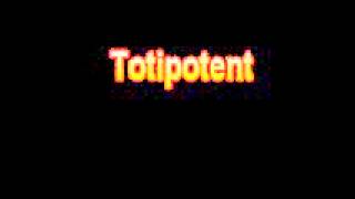 What Is The Definition Of Totipotent [upl. by Pickford]