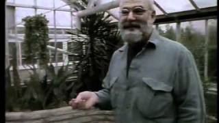 Oliver Sacks on Tourette Syndrome  Shane Part 2 of 3 [upl. by Kyte529]