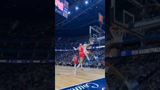 Lebron swing reverse dunk on German player teamflightbrothers [upl. by Wardlaw]