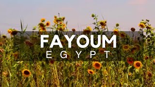 Fayoum City amp Oasis  City of Waterfalls Southwest of Cairo  Alchemist [upl. by Jon]