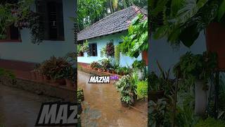 Rainy day in my life  monsoon season  മഴക്കാലം garden sundayvlog walkaround [upl. by Hanser]