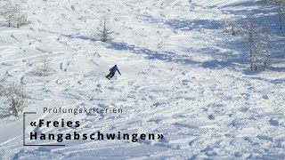 Prüfungskriterien «Freies Hangabschwingen» BergführerAspirantenkurs [upl. by Derick]