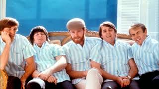 The Beach Boys  Apple Bottom Jeans 1966 [upl. by Crow363]