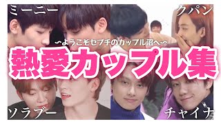 【SEVENTEEN세븐틴】セブチのレジェンドカップル 《日本語字幕》 [upl. by Kerred848]