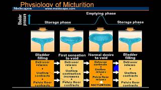 NEUROGENIC BLADDER [upl. by Aynatal]