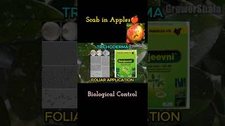 Biological Control for Scab🍎🍏 apples agriculture horticulture farming [upl. by Crifasi746]