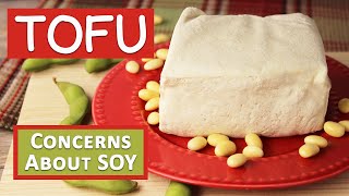 What is Tofu Top 3 Common Concerns About Soy [upl. by Krissie406]