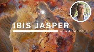 Ibis Jasper  The Crystal of Healing Trauma [upl. by Ayhdnas312]