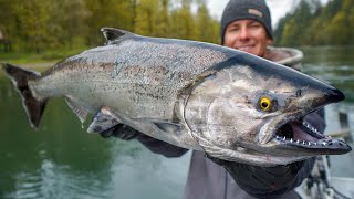 Most EXPENSIVE Salmon in WORLD Catch Clean Cook Chinook [upl. by Notlek]