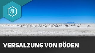 Versalzung von Böden  Bodendegradation 2 [upl. by Mairam]