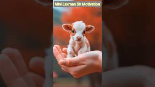 So Cute 🥰🦋 Laxman Sir Trick Wale shorts minilaxmansirmotivation laxmansir cow status [upl. by Oskar746]