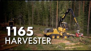 Tigercat 1165 Harvester working with the 1075C Forwarder in Sweden [upl. by Valonia755]