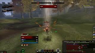 ESO PvP  Why People Use Miats [upl. by Noirred]