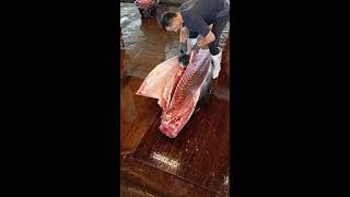 Worlds Sharpest Tuna Knife！Amazing Giant bluefin tuna cutting Master [upl. by Airetnohs]