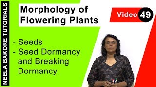 Morphology of Flowering Plants  NEET  Seeds  Seed Dormancy and Breaking Dormancy  Neela Bakore [upl. by Missie]