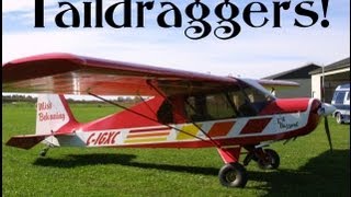 Taildraggers  light sport aircraft taildraggers [upl. by Hotze166]