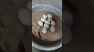 10 duck eggs🦆🦆Ready for hatching tamiltamil hatching egg duck trending youtube birds village [upl. by Ahearn]