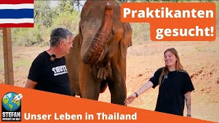 Praktikumsstellen in Thailand zu vergeben Visa Krankenversicherung Logis und Mobilität inkl [upl. by Nedle109]