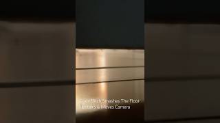 Crazy Btch Smashes The Floor Making The Camera Shake [upl. by Drabeck]